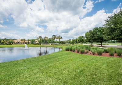 Central Florida Commercial Landscaping: Tips for Starting from Scratch